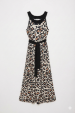 ⁦סרפן מתרחב מנומר⁩ – תמונה ⁦8⁩