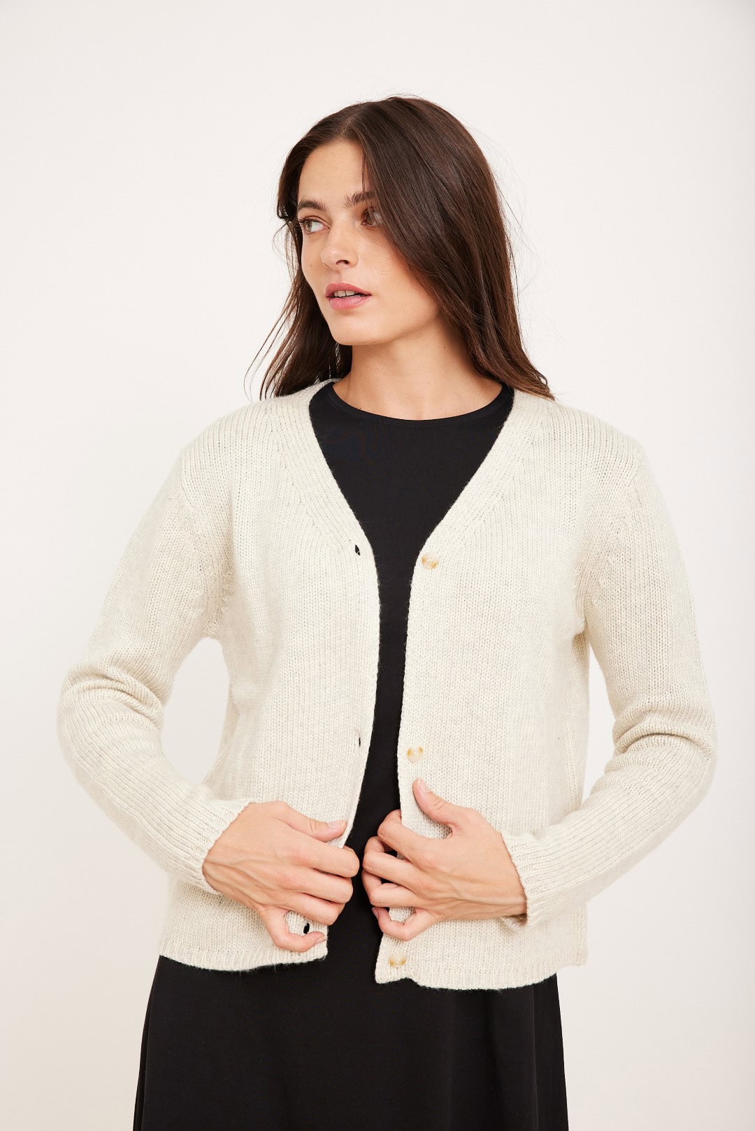 קרדיגן קאמל